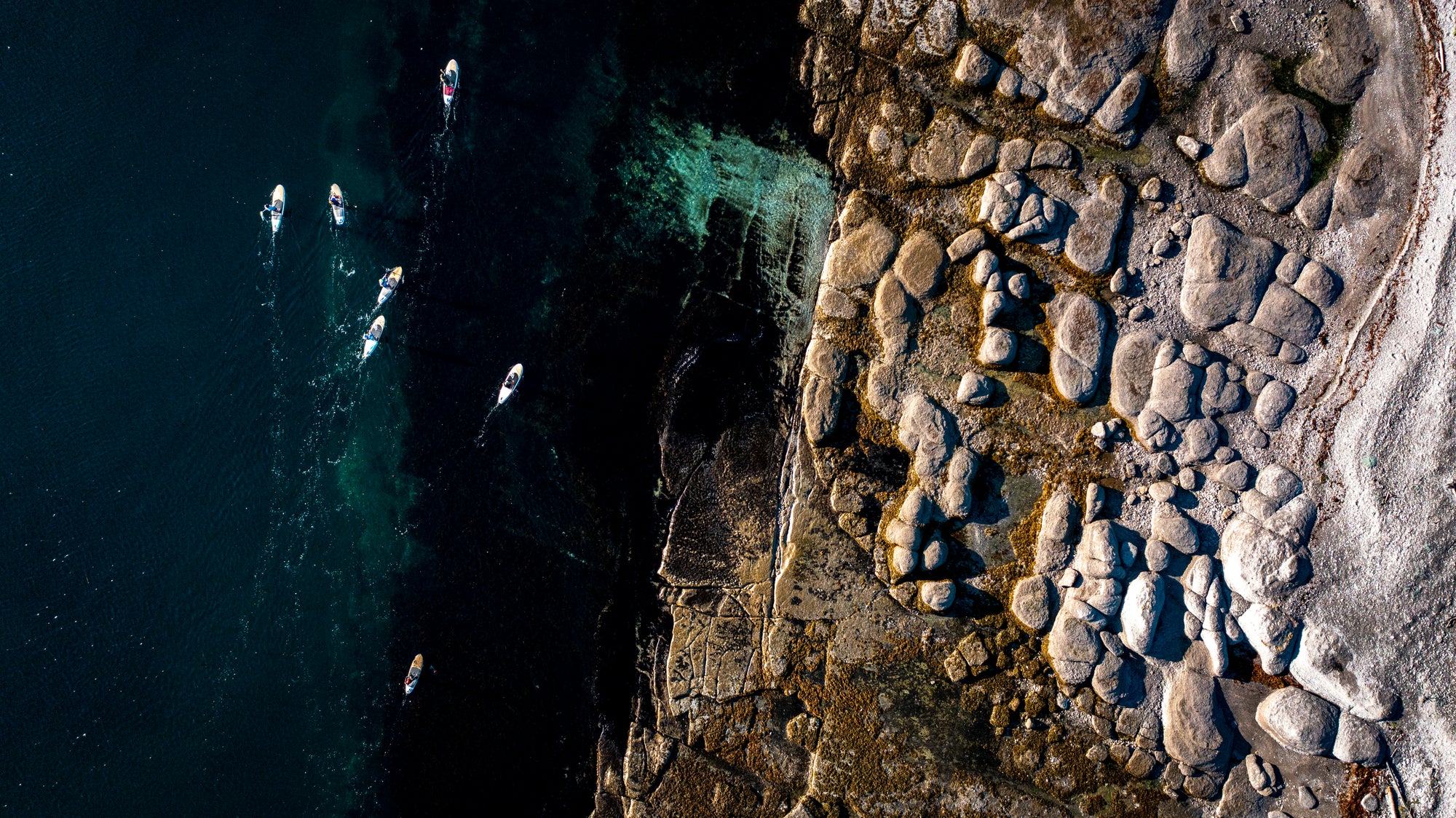 Les vagues X La Ruche Québec