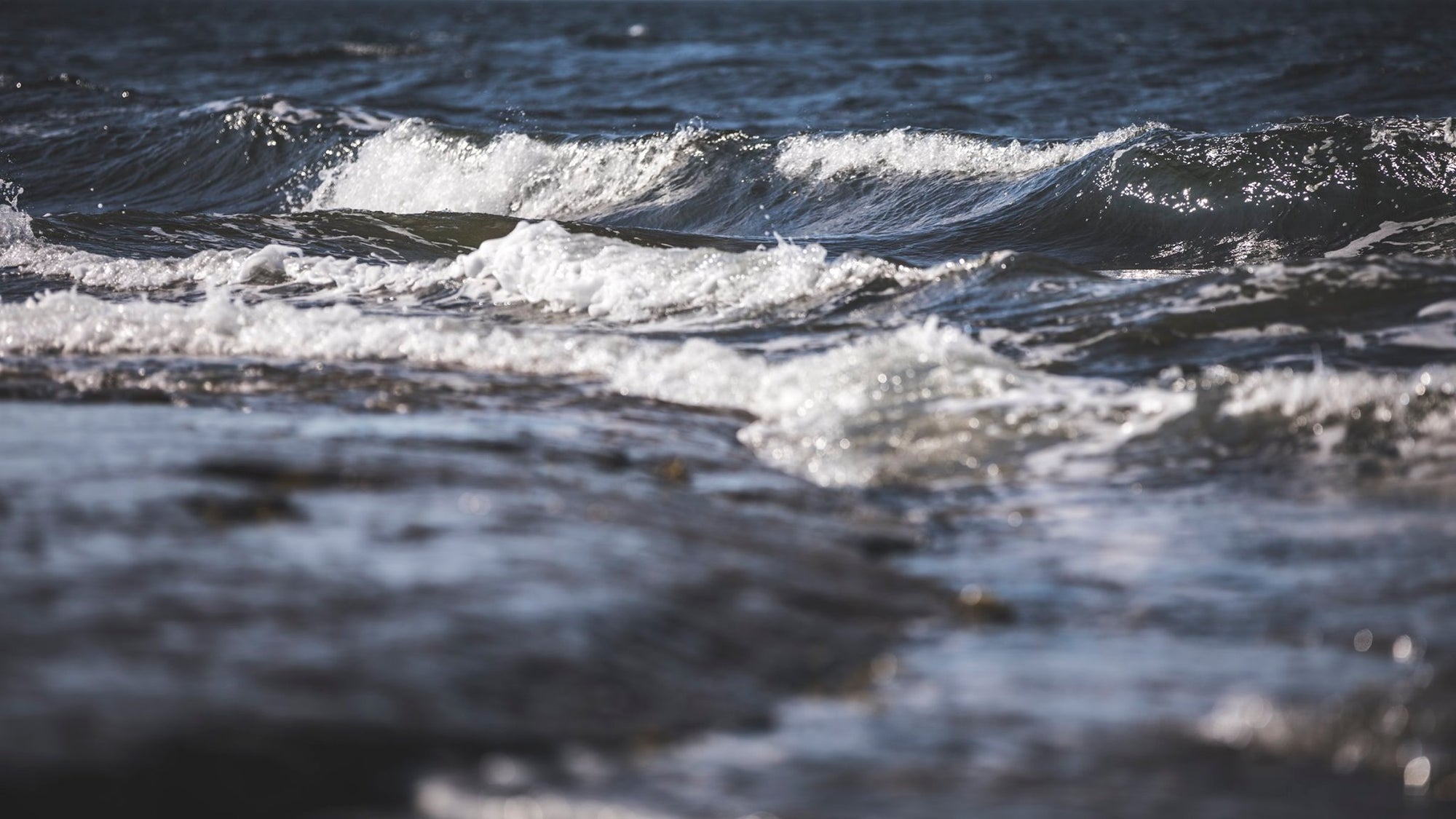 Offrez Les vagues pour Noël!!