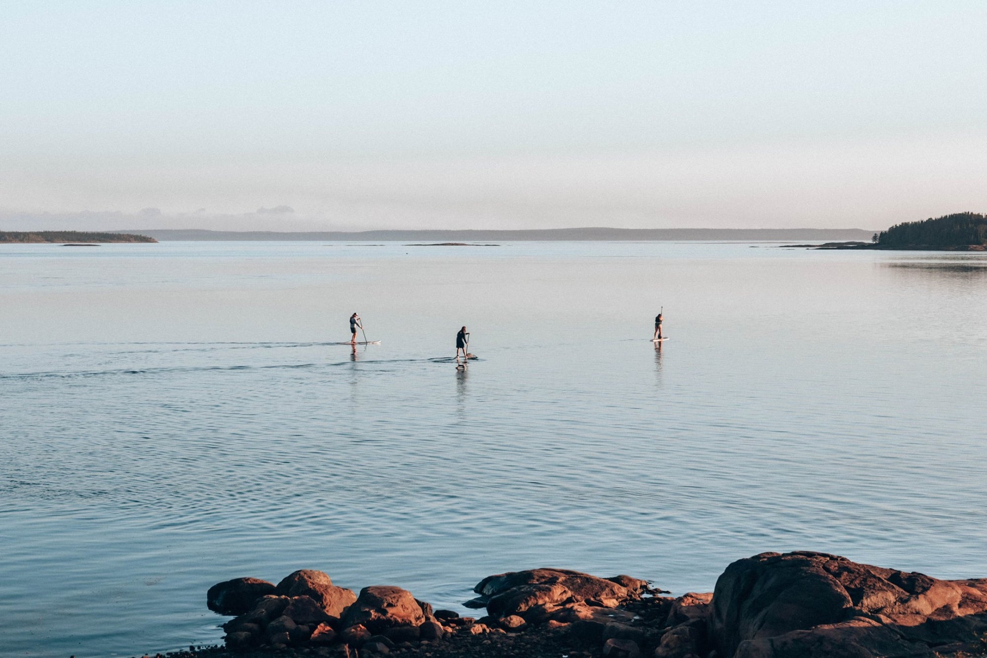 5 années de vagues et beaucoup d'autres à venir!