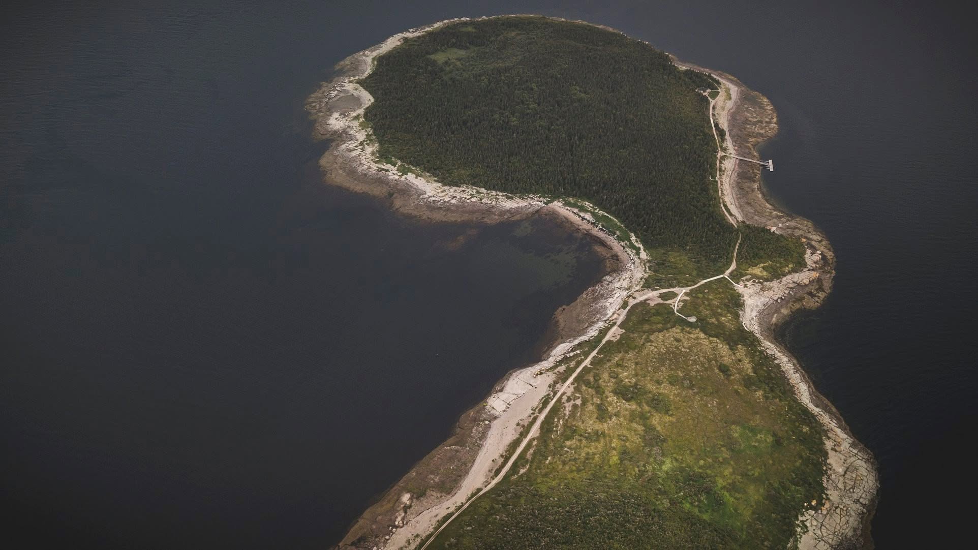 Vinyasa sur une île