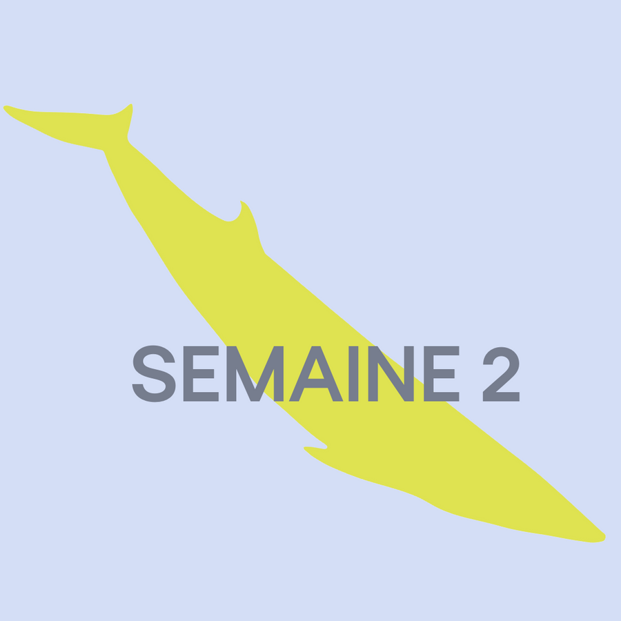 SEMAINE 2: 28 juillet au 1er août 2025